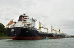 Thumbnail Image for Jamno