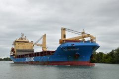 Thumbnail Image for Zea Servant