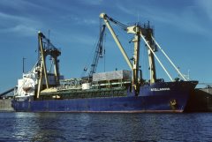 Thumbnail Image for Stellanova