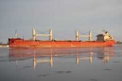 Thumbnail Image for Federal Biscay