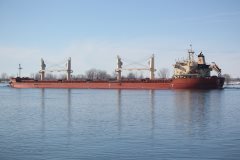 Thumbnail Image for Federal Caribou