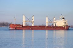 Thumbnail Image for Federal Caribou