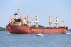 Thumbnail Image for Federal Cedar