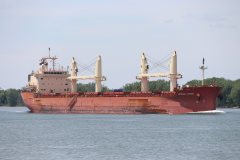 Thumbnail Image for Federal Cedar