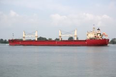 Thumbnail Image for Federal Dee