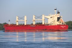 Thumbnail Image for Federal Izumi