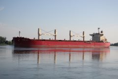 Thumbnail Image for Federal Izumi