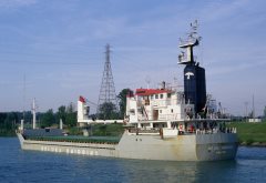 Thumbnail Image for Beluga Obsession