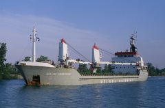 Thumbnail Image for Beluga Obsession