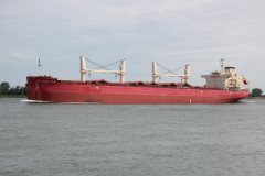 Thumbnail Image for Federal Pride