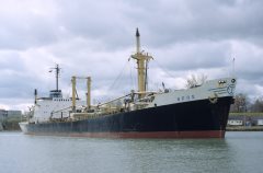 Thumbnail Image for Neos