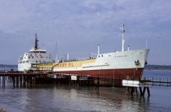 Thumbnail Image for W. Harold Rea