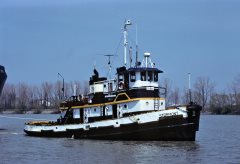 Thumbnail Image for Stormont