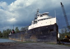 Thumbnail Image for Leadale