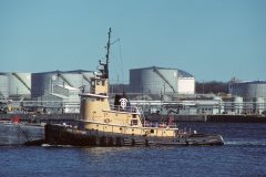 Thumbnail Image for John Turecamo