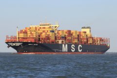 Thumbnail Image for MSC Rose