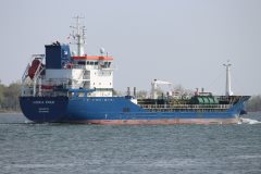 Thumbnail Image for Fionia Swan