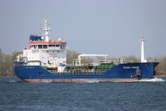 Thumbnail Image for Fionia Swan