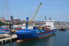 Thumbnail Image for Pictor J