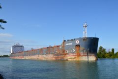 Thumbnail Image for Algoma Guardian