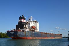 Thumbnail Image for Algoma Guardian