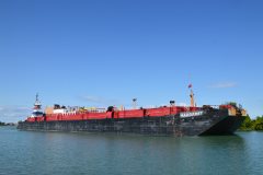 Thumbnail Image for Albert