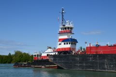 Thumbnail Image for Albert