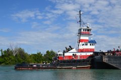 Thumbnail Image for Albert