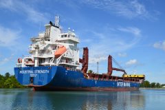 Thumbnail Image for Industrial Strength