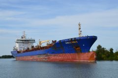 Thumbnail Image for Carolus Magnus