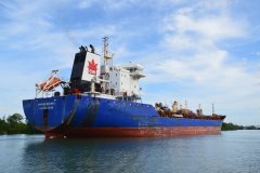 Thumbnail Image for Carolus Magnus