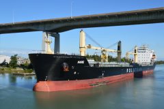 Thumbnail Image for Narie