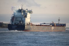 Thumbnail Image for G3 Marquis