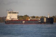 Thumbnail Image for G3 Marquis