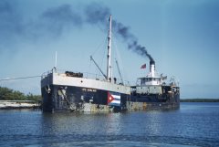 Thumbnail Image for W.E. Ogilvie