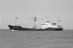 Thumbnail Image for Volodya Shcherbatsevich