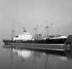 Thumbnail Image for Transpacific oncontextmenu=