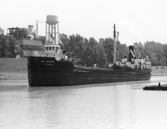 Thumbnail Image for Cape Transport