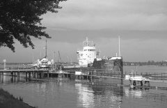 Thumbnail Image for Secola