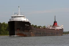 Thumbnail Image for Montrealais