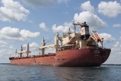 Thumbnail Image for Federal Beaufort