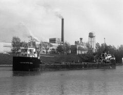 Thumbnail Image for Eaglescliffe Hall