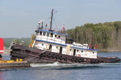 Thumbnail Image for Bulldog