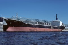 Thumbnail Image for Milanos