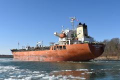 Thumbnail Image for Easterly as Omaria