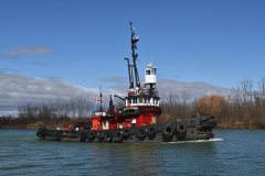 Thumbnail Image for Salvage Monarch