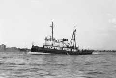 Thumbnail Image for Taboga