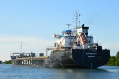 Thumbnail Image for Blair McKeil oncontextmenu=