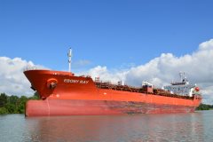 Thumbnail Image for Ebony Ray