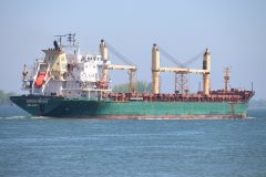 Thumbnail Image for Greenwing